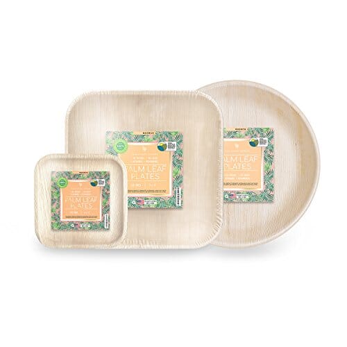 Buy Palm Fridays Ecoware Square Disposable Plates Compostable 100